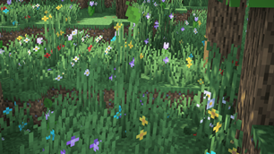 grass