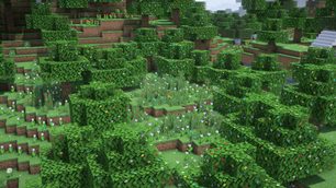flower forest