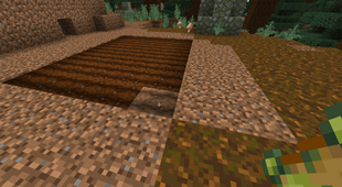 Wet Farmland From Poisonous Potato (No Water Around)