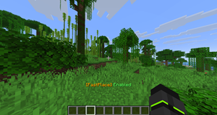 Enabled.png
