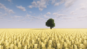 Endless Field