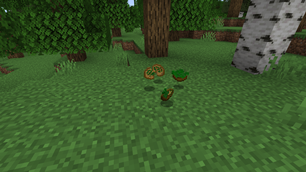 9 New FD items.png