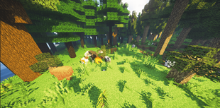 Animals.png