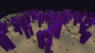 Minecraft_2026 (6).webp