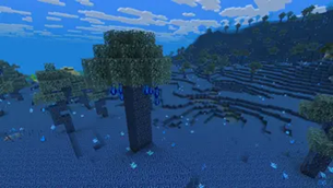 Minecraft_2026 (1).webp
