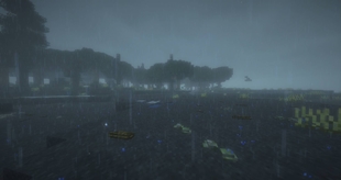 Beach.jpg