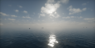 Ocean