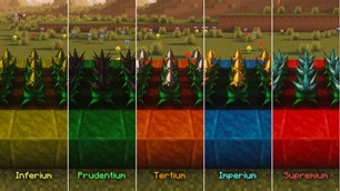Five tiers
