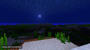 MOONLIGHT IN THE RAIN