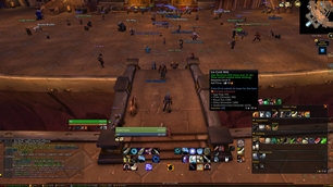 WoWScrnShot_100126_140307.jpg
