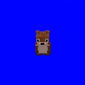 Eastern Chipmunk