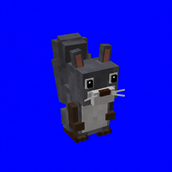 Gray Squirrel