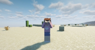 11-emote-hiding-face.jpg