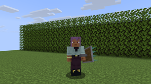 12-diamond-held.png