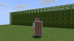 10-netherite-blocking.png