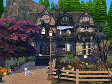 Screenshot 14