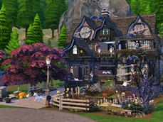Screenshot 13