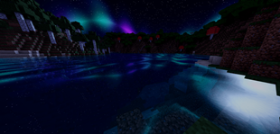 showcase-night.png