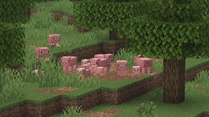 Pigs Muddin'