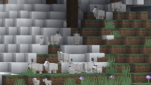 Goats Climbing