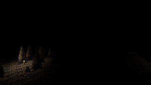 Cave Darkness with Torch