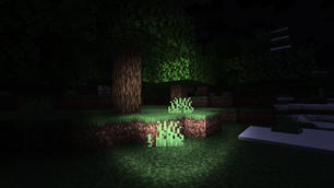 Forest Darkness with Flashlight under Half Moon