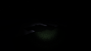 Forest Darkness with Flashlight under New Moon