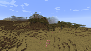 Savanna