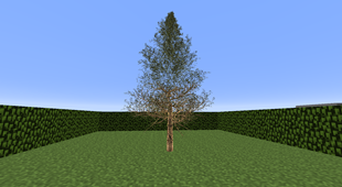 ULTRA-HD Tree