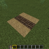 dried mud