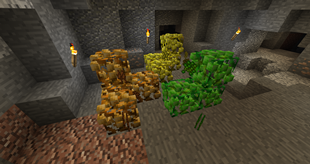 Shrubs!