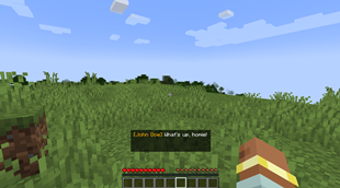 NPC_text.png