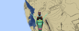 Rayquaza Mount Example