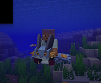 Swampert Mount Example