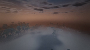 01_dawn_mist_forest.jpg