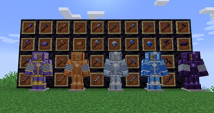 Part of the armor