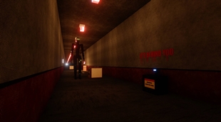Run For Your Life