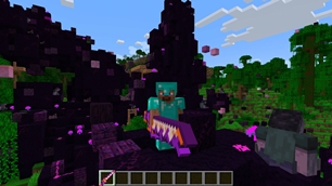 minecraft_screenshot_under_2MiB.jpg