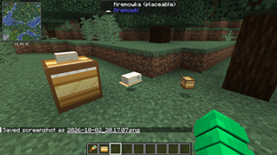 all items and blocks