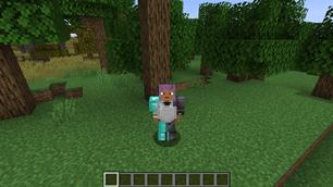 A Player Wearing Mismatched Armor Using The Mod