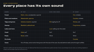 Every place has its own sound