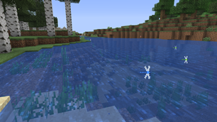 Dragonflies