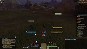 WoWScrnShot_100326_144630.jpg
