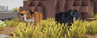 Smilodon