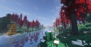 beautiful scenery