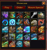 Showcase Player