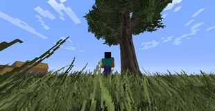 2026-09-19_15.08.10.png