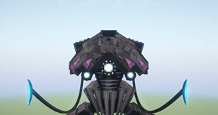 Face of the Invader