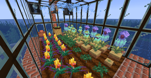 greenhouse.png