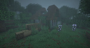 Abandoned House